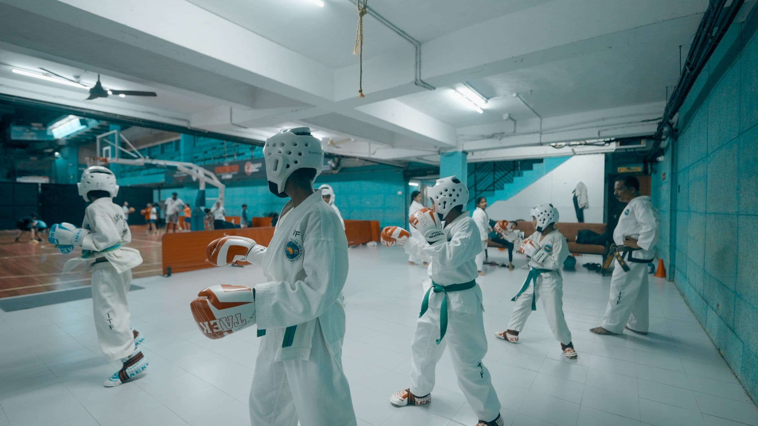 Fencing - Image 1