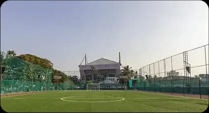 Football Turf - Image 1